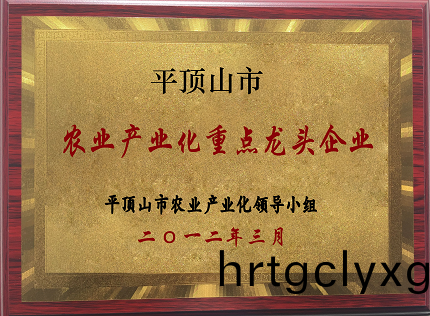 about us